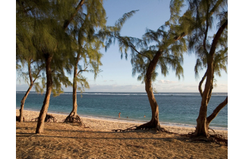 A la découverte des Volcans de la Réunion & un séjour tropical au Relais de l'Hermitage