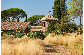 Déconnectez au Château Saint Roux ! 
