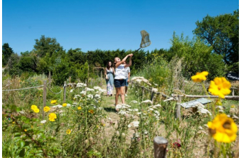 Quand Provence rime avec Romance