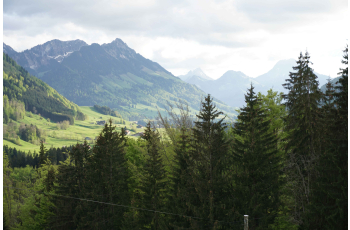 Éveillez vos sens au restaurant La Pinte des Mossettes en Suisse