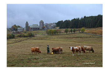 Escapade gourmande au cœur du Pays des Sucs