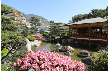 Visiter les Jardins de Monaco