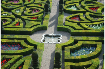 Déambuler dans les jardins de Villandry au cœur du Val de Loire