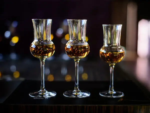 Dégustation de Mezcal et Téquila au Bar du Crystal — visuel 3