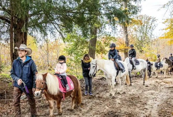 Balade à poney (jusqu'à 10 ans) — visuel 1