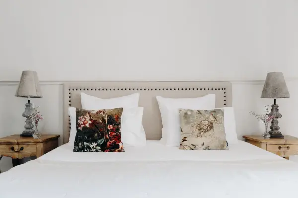 Une nuit avec petit-déjeuner en chambre Deluxe — visuel 1