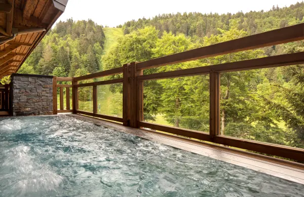 Accès Spa Forêt 2h — visuel 1