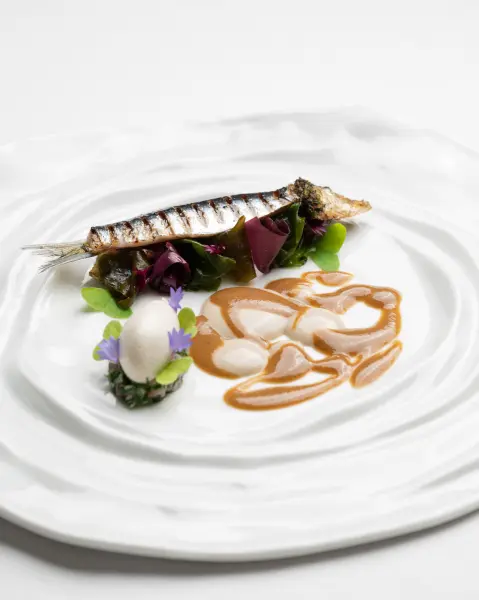 Menu "sortie en mer" 9 prises — visuel 2