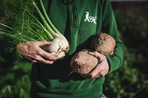 Ateliers Adultes au Jardin — visuel 2