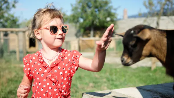 Activités enfants : ferme et jardin — visuel 1