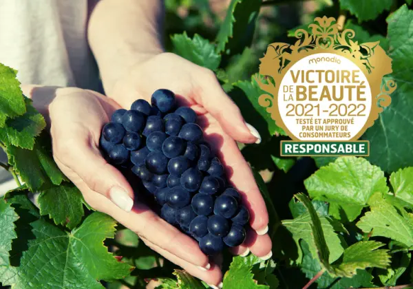 Force Vitale de la Vigne — visuel 3