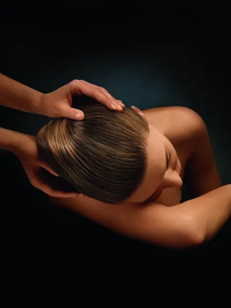 RDV Physionomie — visuel 2