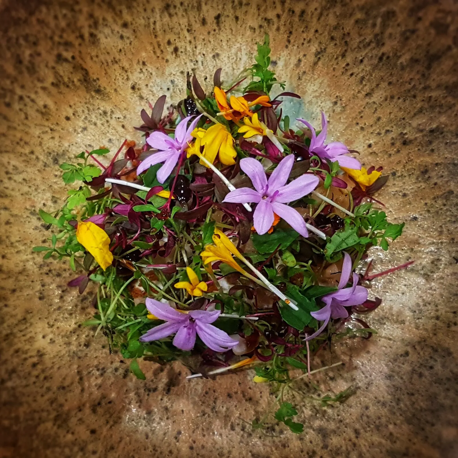 Menu Pérouvence