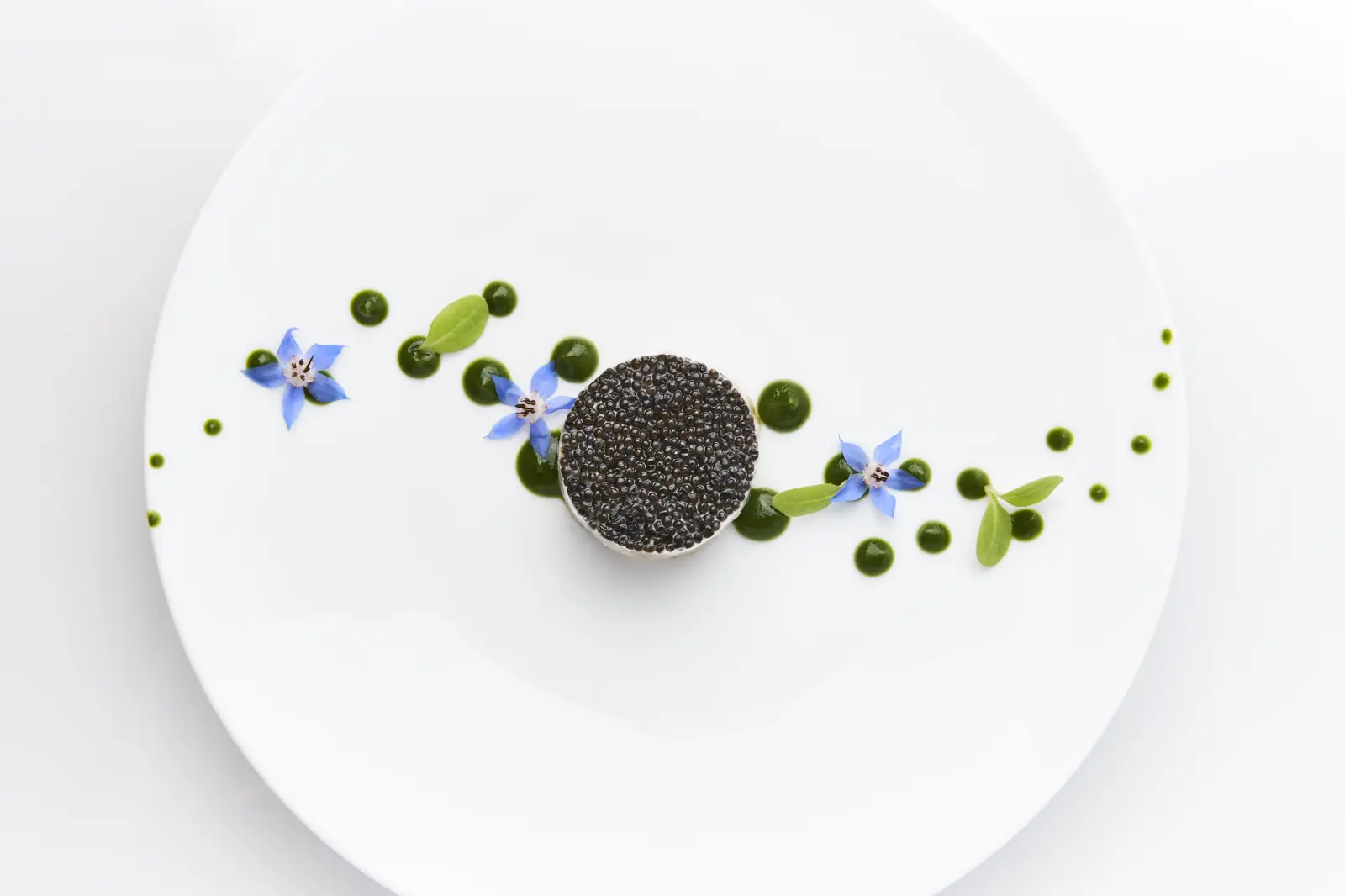 Menu Le Chant des Saveurs avec accords mets-vins - 5 actes