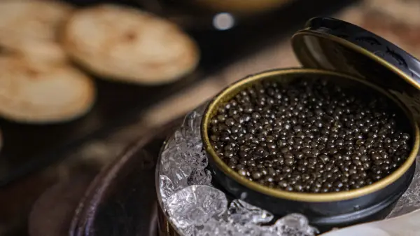 Champagne et caviar — visuel 2