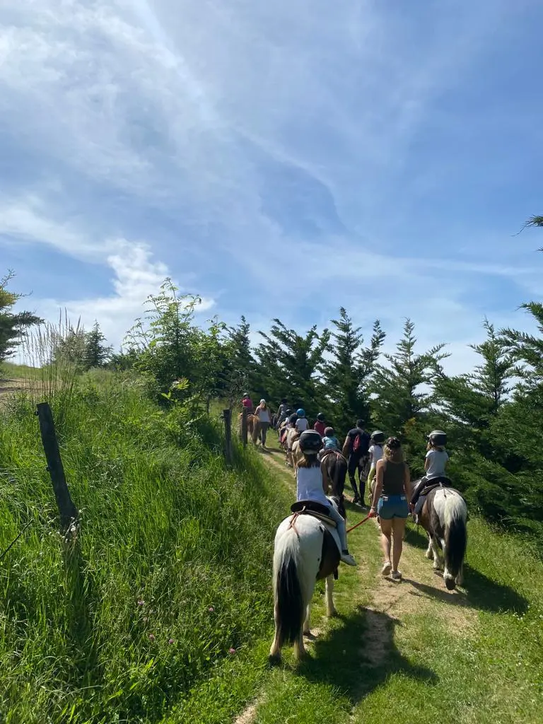 Balade à poney 1h15