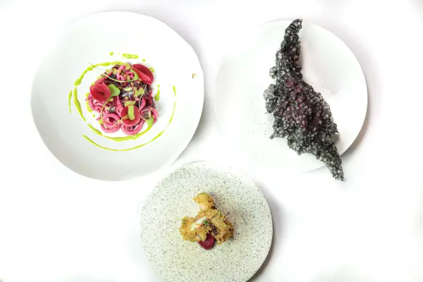 l'Expérience Eclosion totale — visuel 1
