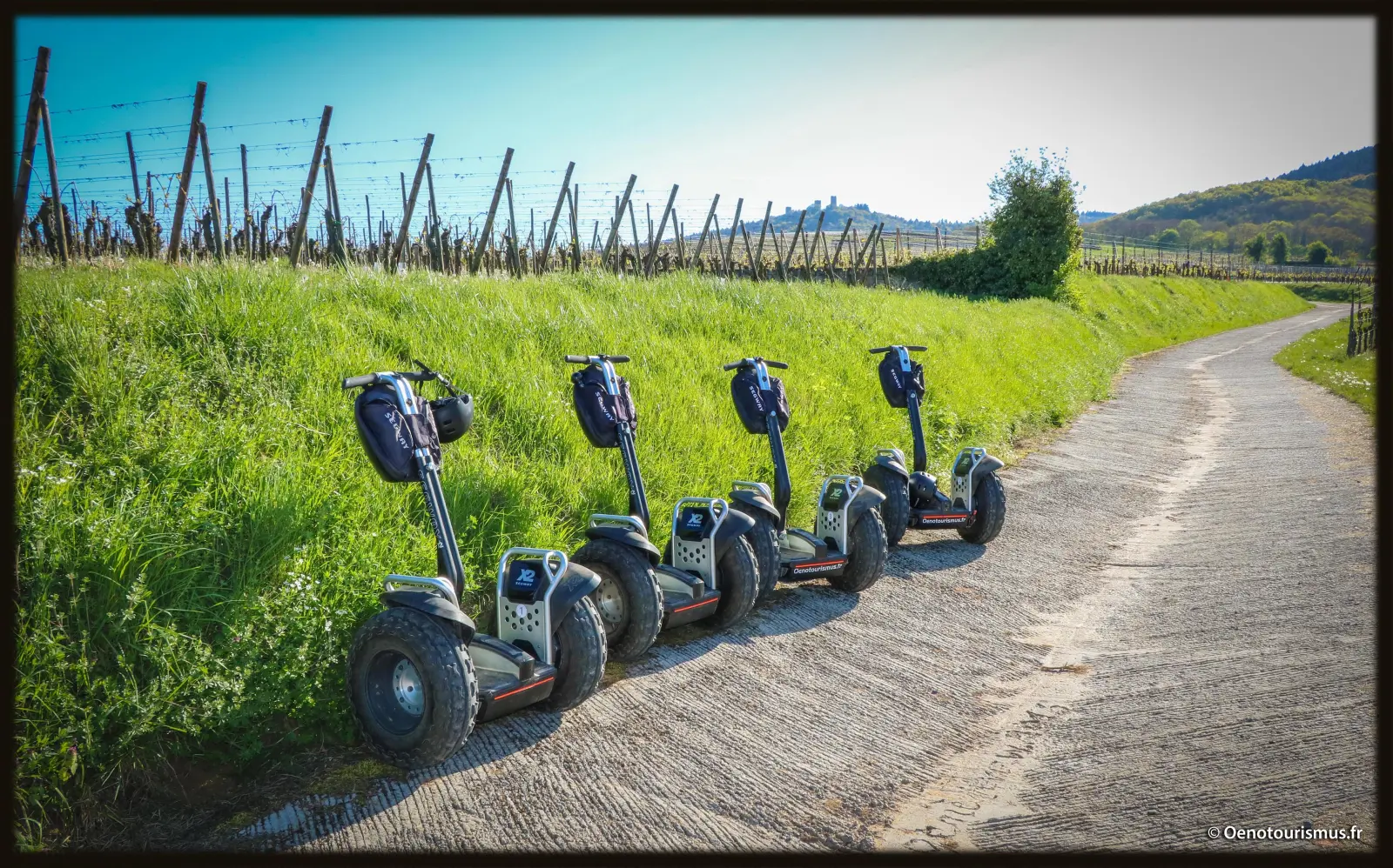 Coffret Cadeau Route des Vins d’Alsace, en Segway · Junior Suite