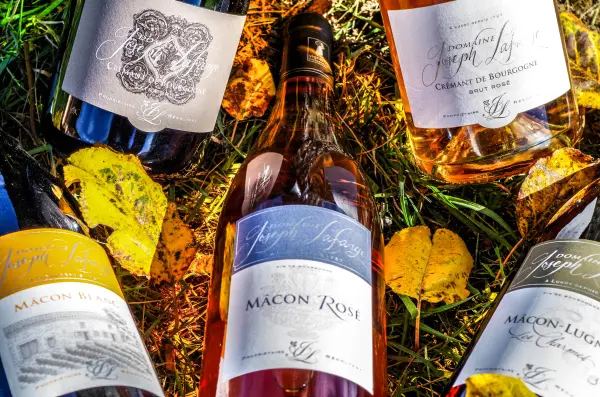 Bon cadeau - Atelier d'initiation à l'œnologie en Bourgogne — visuel 2