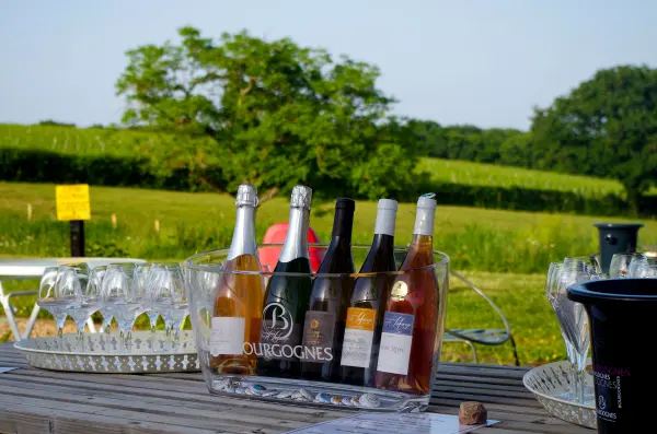 Bon cadeau - Atelier d'initiation à l'œnologie en Bourgogne — visuel 3