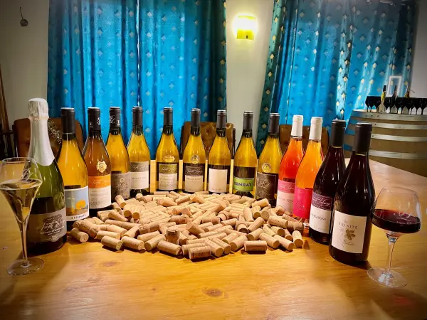 Bon cadeau - Dégustation Privilège en Bourgogne — visuel 1