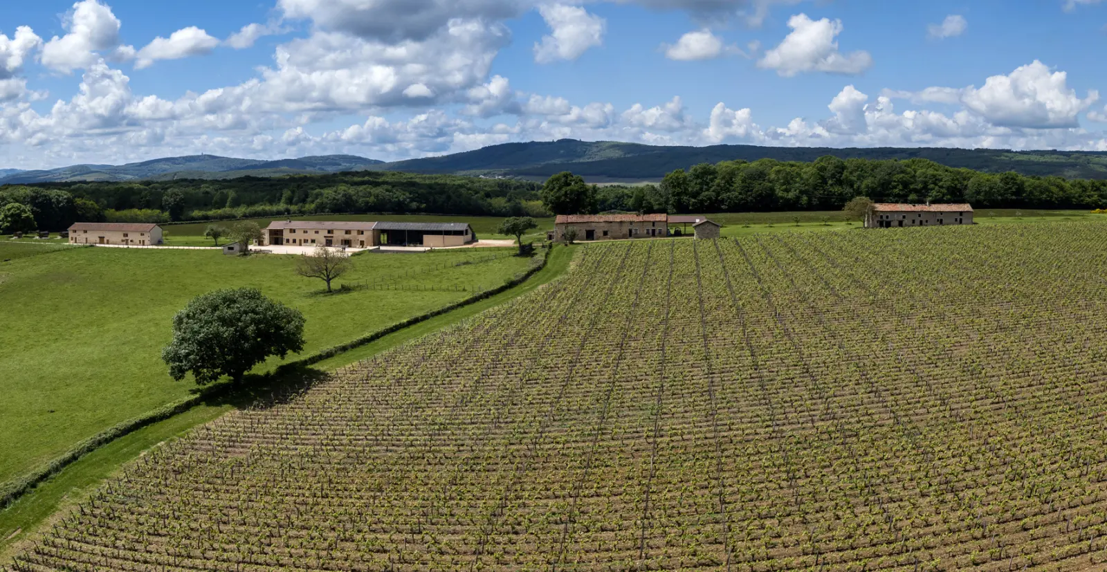 Devenez Ambassadeur du Domaine Joseph Lafarge
