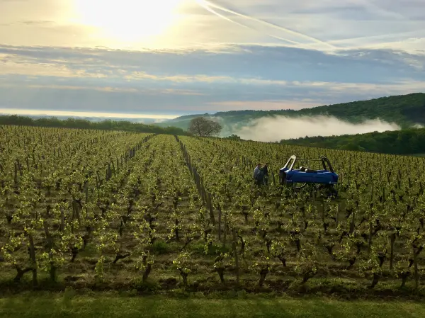 Devenez Ambassadeur du Domaine Joseph Lafarge — visuel 2