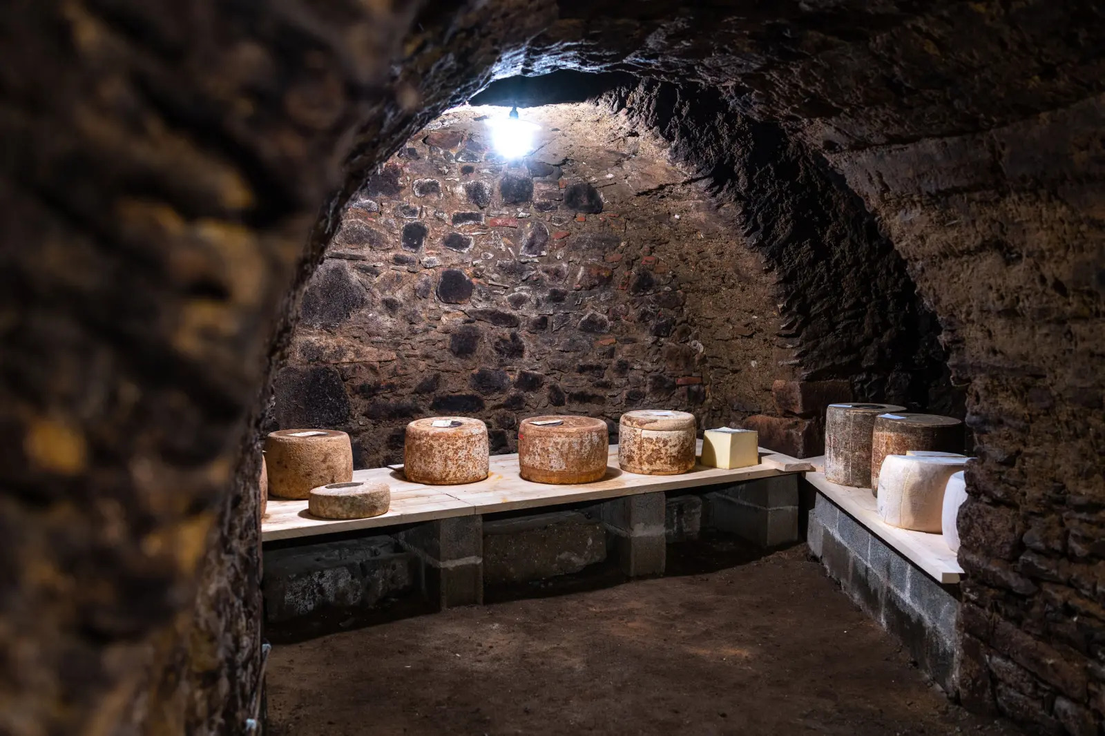 Dégustation en Cave La Maison du Fromage