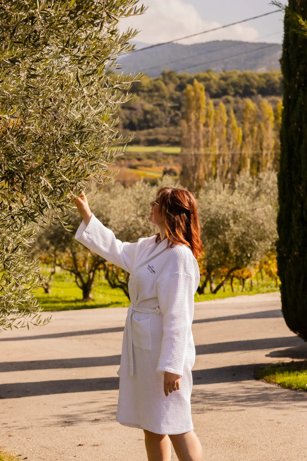 Journée au coeur du vignoble