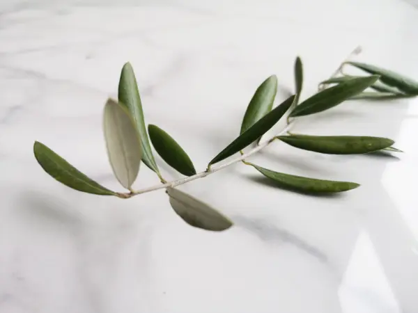 Enveloppement Oway Phytodrainant — visuel 1