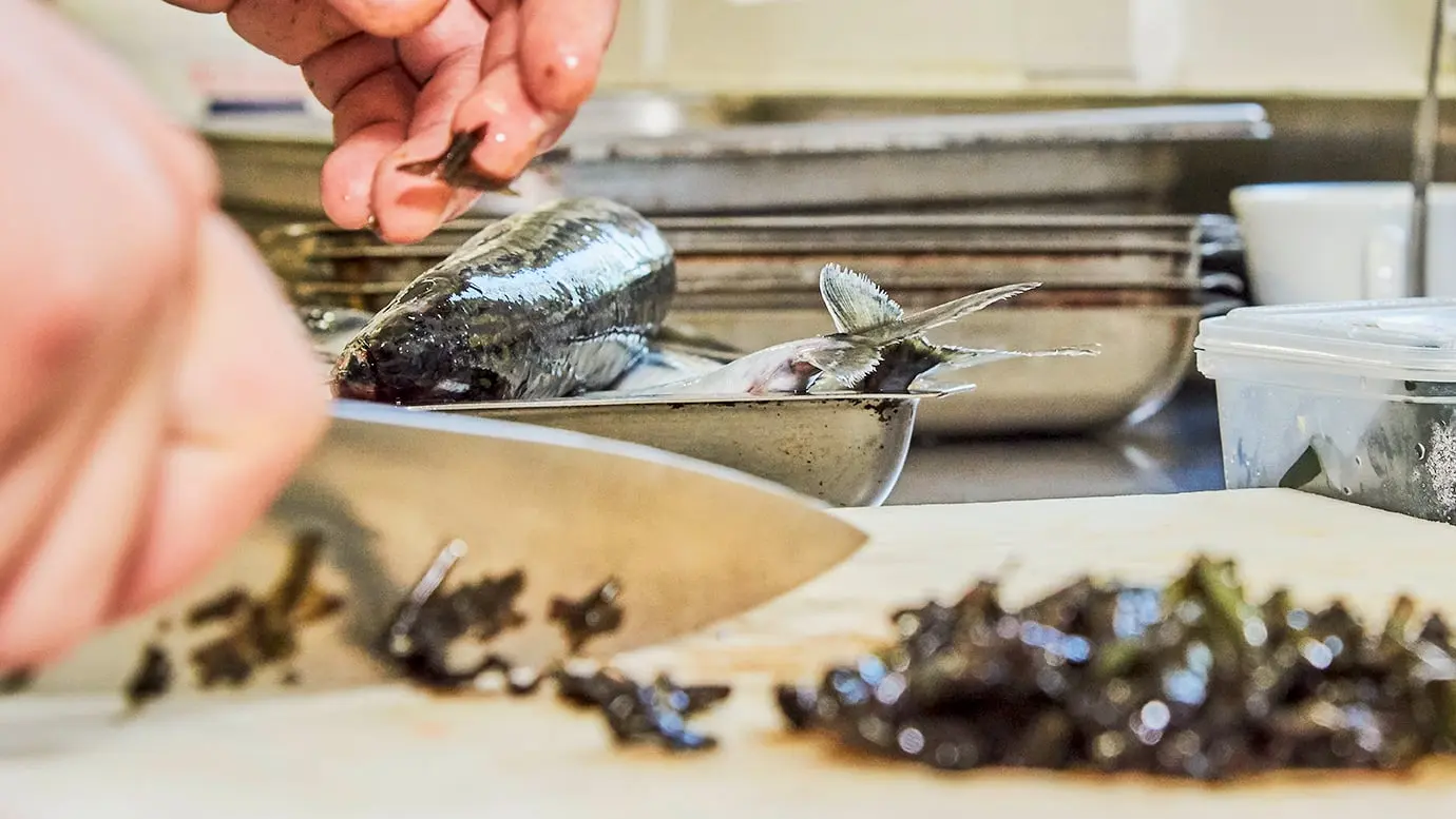 Cours de cuisine