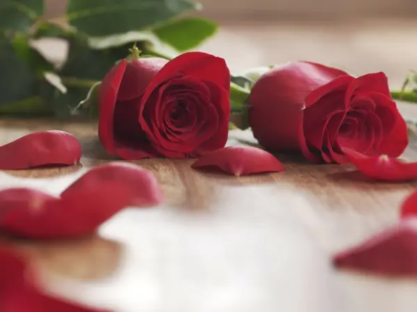 Escapade Romantique N°5 — visuel 3