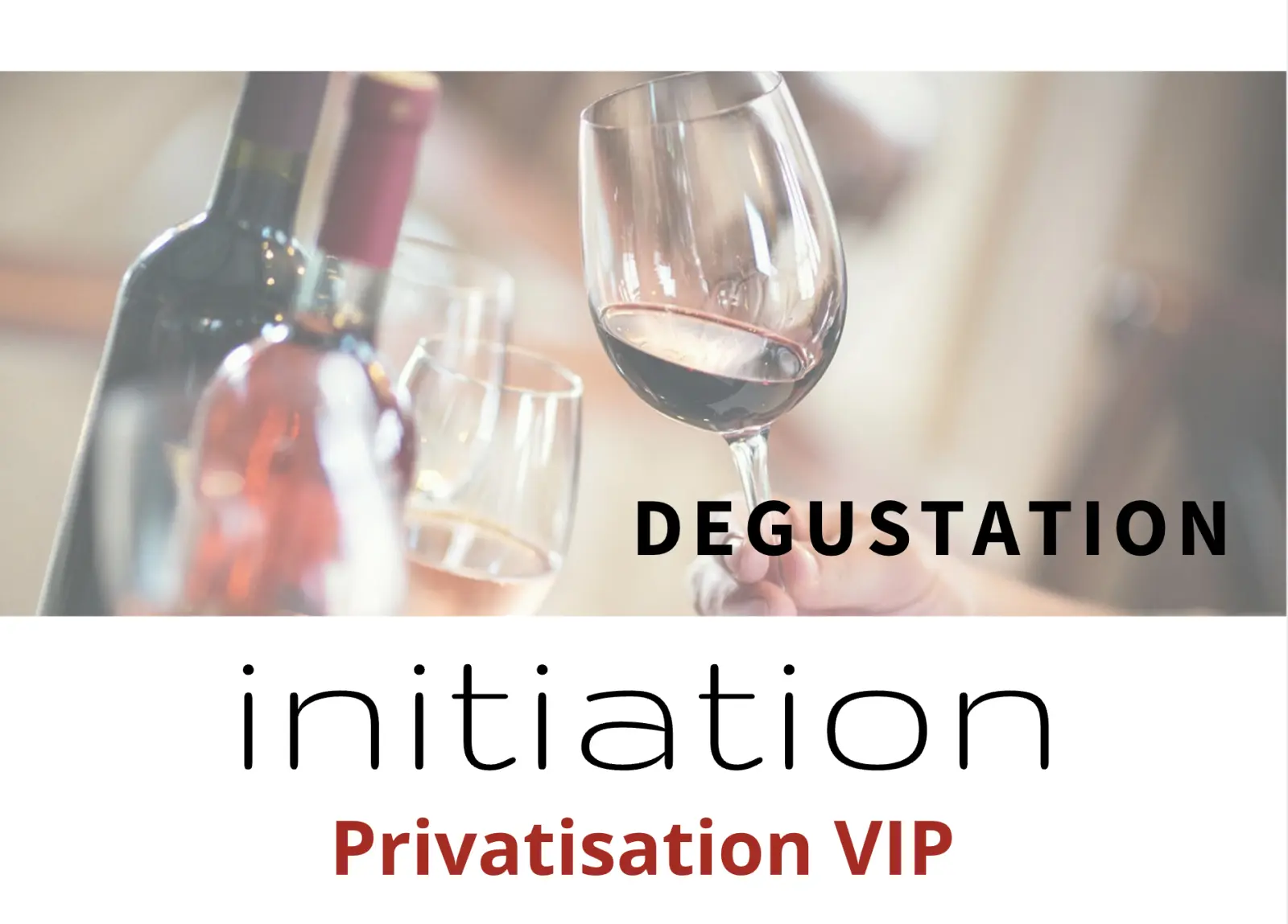 Dégustation V.I.P. de Vins - DECOUVERTE INITIATION