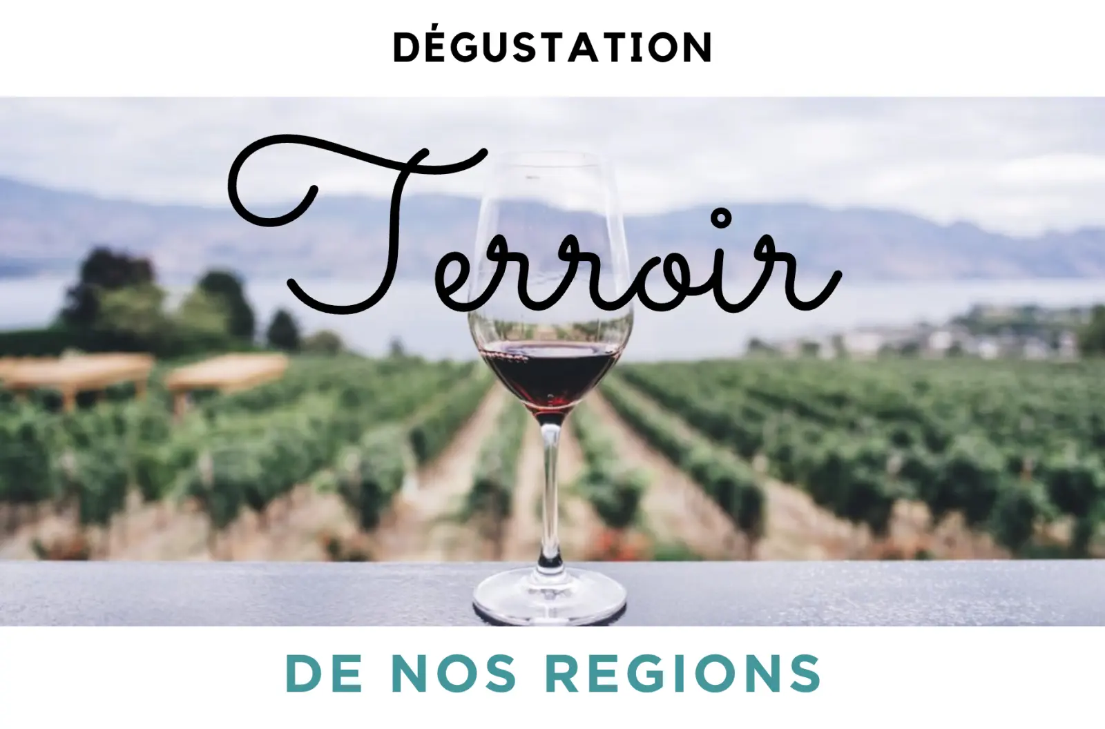 Dégustation de Vins - TERROIR DE NOS REGIONS