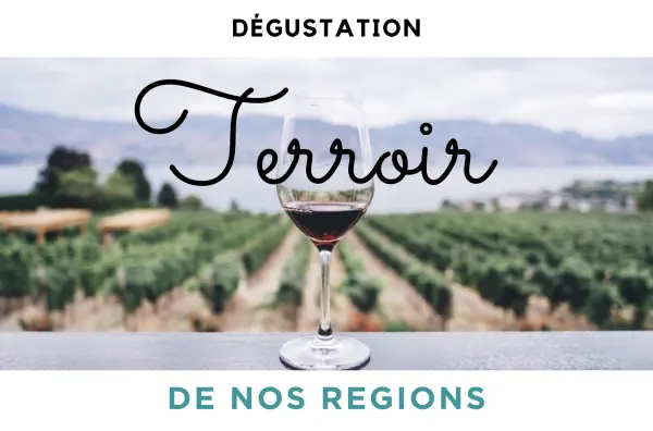 Dégustation de Vins - TERROIR DE NOS REGIONS — visuel 1
