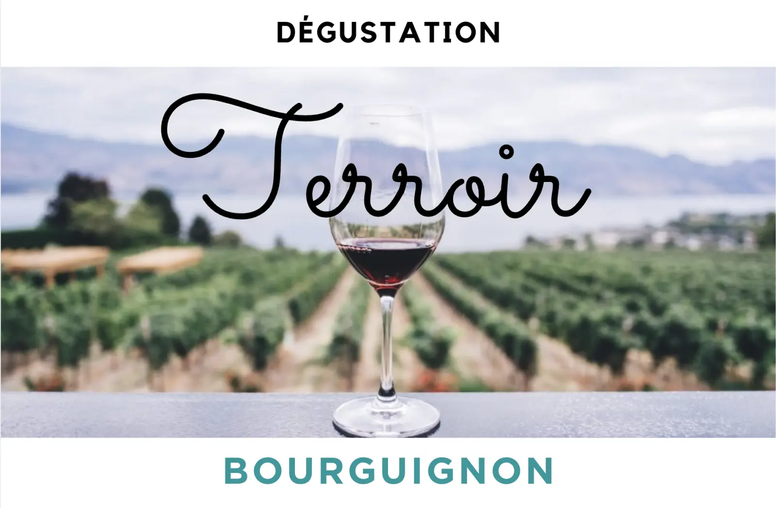 Dégustation de Vins - TERROIR BOURGUIGNON