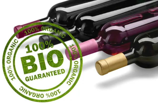 Dégustation de Vins BIOLOGIQUES — visuel 1