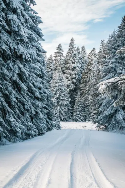 Soin Blanc Comme Neige (50 Min.) — visuel 1