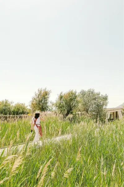 Immersion Camarguaise — visuel 2