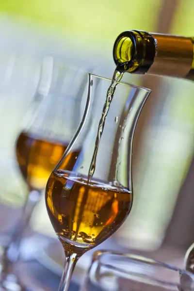 Menu Symphonie avec Accord Mets & Vins Jura — visuel 2