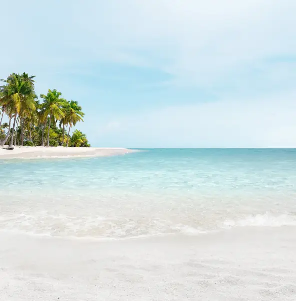 SPA THALGO - Rituel Polynesia 90 MIN — visuel 1