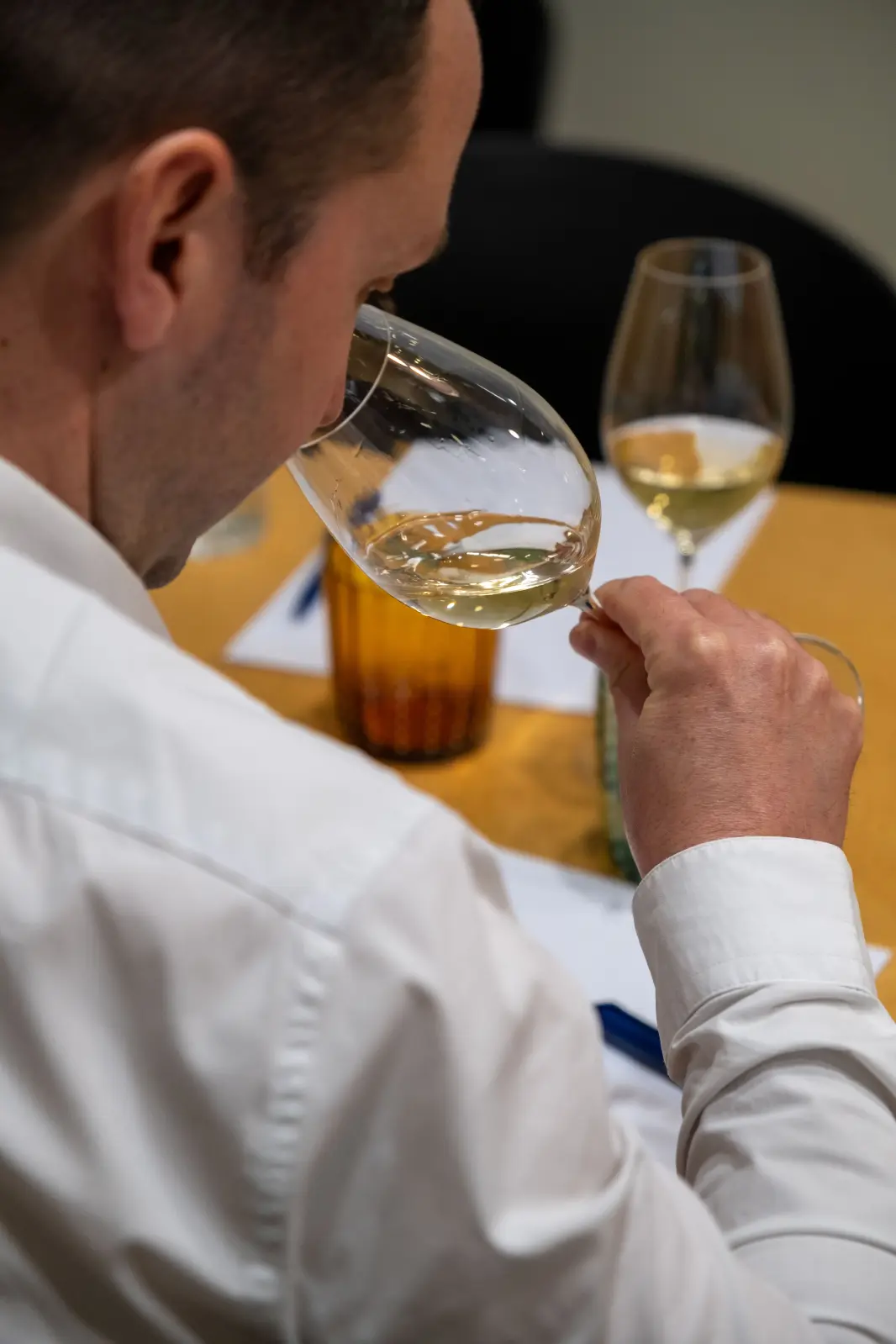 Atelier dégustation vins et spiritueux
