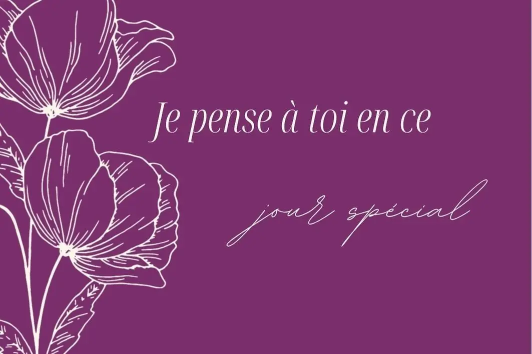 L'eclat repulpant