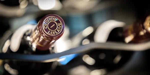 Dégustation commentée (3 vins) — visuel 3
