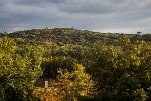 Découverte guidée vignoble et art en voiturette — visuel 2
