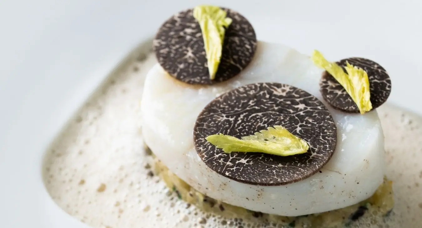 Menu Gastronomique "Évasion"