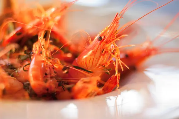 Coffret Cadeau Menu Homard — visuel 3