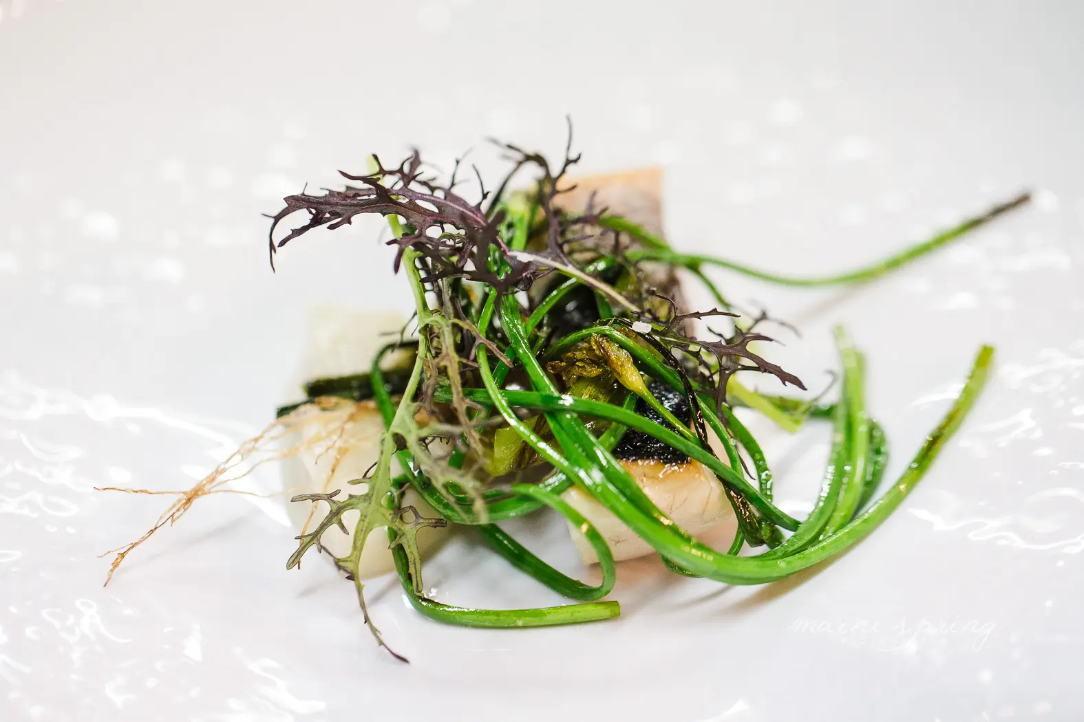 Menu Bilgroix