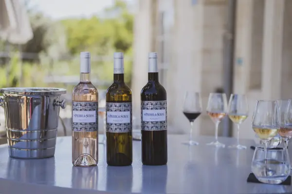 Dégustation - Secrets de terroirs — visuel 2