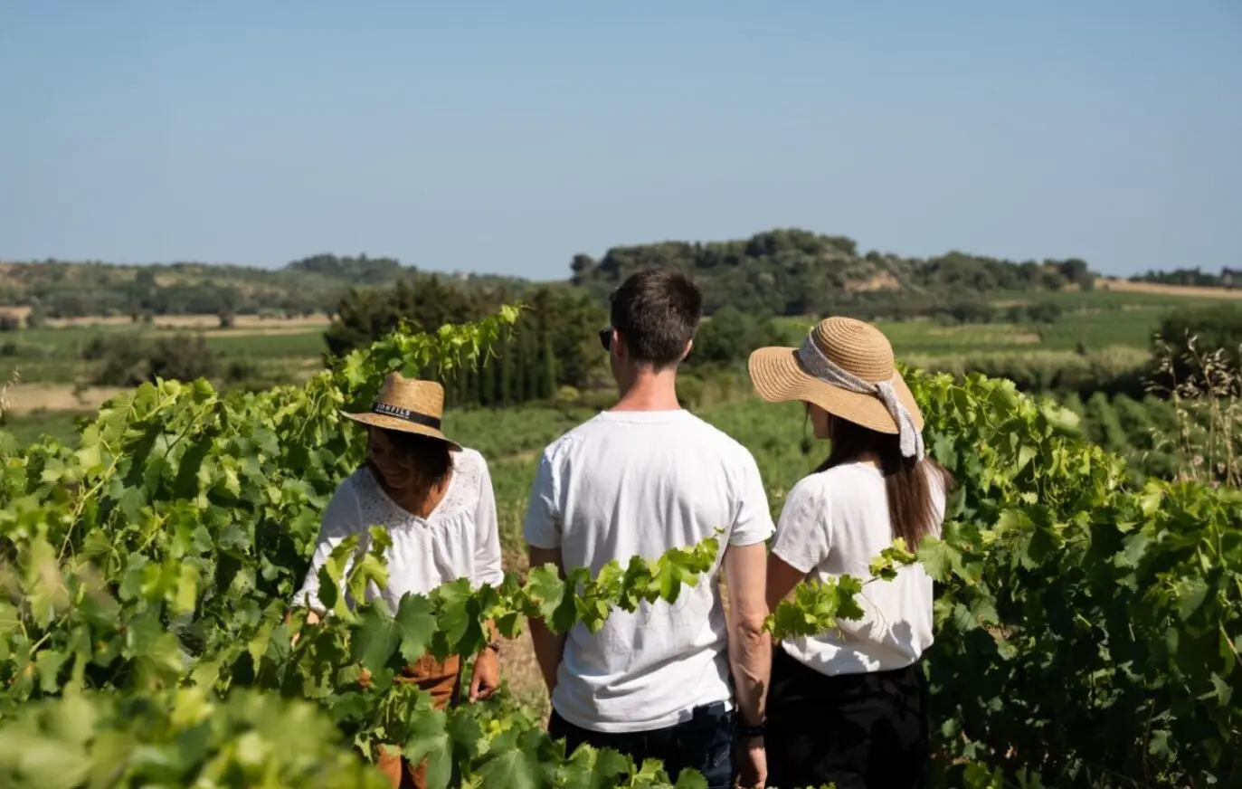 Wine & Walk
